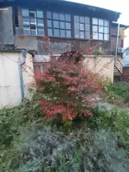 2-����. 50 �. �� ��. �������������� ���� 1