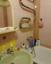 3- ����. 69�.��. ����������� ����� ���� 5