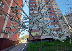 2- ����. 74 �. ��. �/� �����������), ���� 3