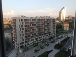 �������� 3-� ���������, 305 �. ��. ��. ���� ��������. ������. ������. �������. ���� 24