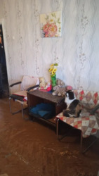 2- ����. 44 �. ��. �. ����. ���� 3