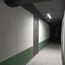 ������ ����������� �������� � �� Lagom ���� 2