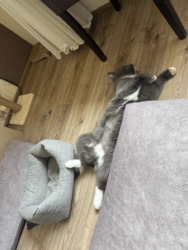 ������������� �������� (�� ��������� ����). ���� 7