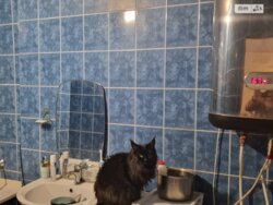 1 - ����. 7/12 ��. ������� ���� 6