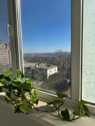 4 ����. 92 �. ��., 8/10 ��., ���� ��������. ��� �� �����. ���� 4