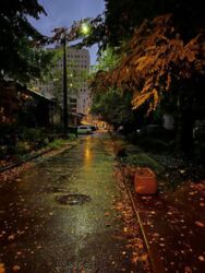 4 - ����. 83 �. ��. � ������ � ���������� ����� �� �����. ���� 14