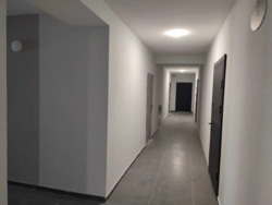 1- ���� 46 �. ��. �� �����- 2 ���� 12