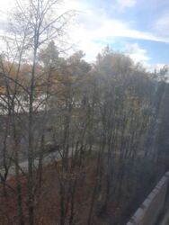 2- ���� 45 �.�� ������- 2 ���� 10