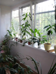 ��������� ������� 3-� �������� � ������� ���� �� ����� ���� ������. ���� 20