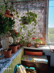 3 - ����., 71 �. ��. ��. �. ���� ���� 8