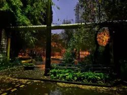 4 - ����. 83 �. ��. 5/9 ����. �����. ��� �� �����. ���� 2