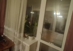 2 - ����. 43 �. ��. ��. ����������. ����� ��������� ���� 12