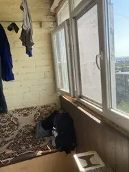 ������ 2-��������� ��������, �����, 53 �. ��. ����� �/� ��������� ���� 11