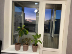 2- ����. 52 �. �� �-�. ������ ���� 2