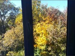 1 - комн. пр. Поля, 3 этаж из 5. Лучшая цена! фото 6 1 - комн. пр. Поля, 3 этаж из 5. Лучшая цена! фото 6