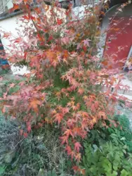 2-����. 50 �. �� ��. �������������� ���� 2