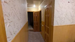 3-. 68,5 . .  31