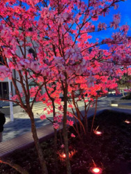 1 ����. �����. 36,8 �. ��. 2 ���� �� 9. ���� 7