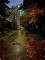 4 - ����. 83 �. ��. 5/9 ����. �����. ��� �� �����. ���� 11