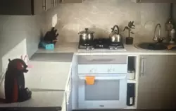 1 - ����. �������� 30 �. ��. 3/9 ����. ��. ������������ ��. ������. ��. ��������. ���� 7
