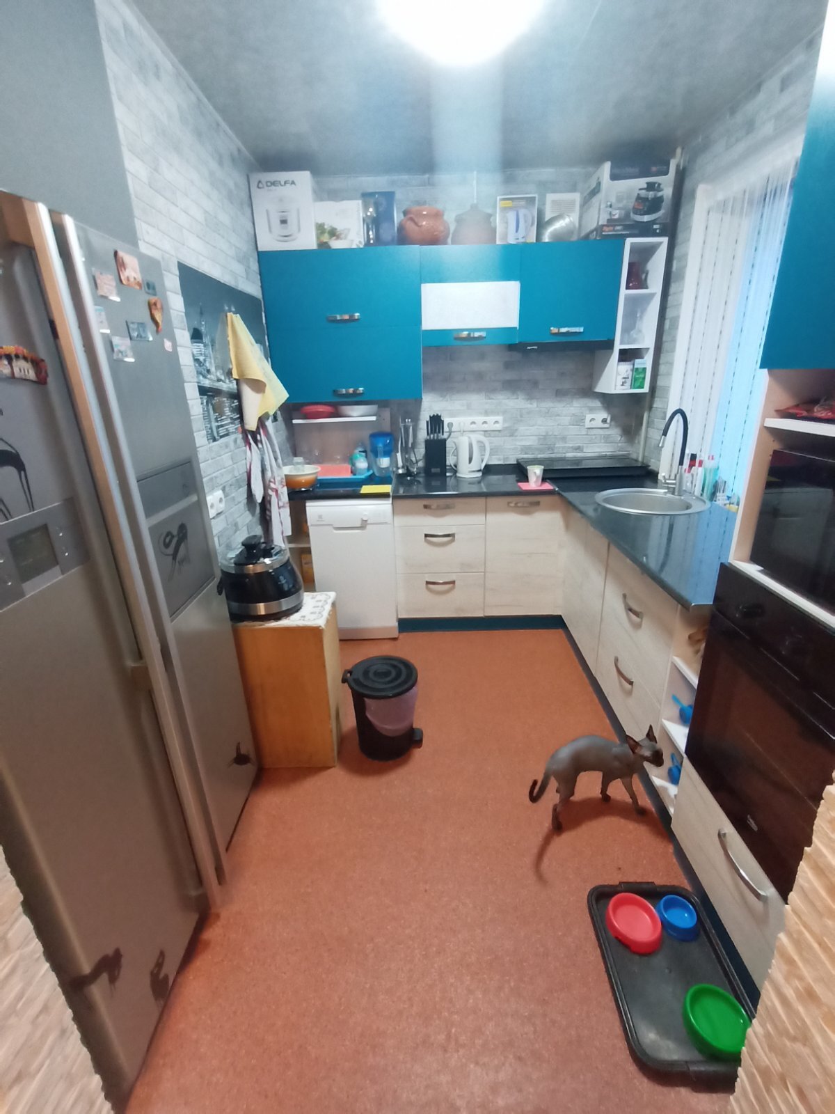 ��������� �������� ����� ��������� ����., �������, ����������, ������������� (���������), �������� ���� 1