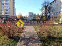   , , ,  (),   () .  15