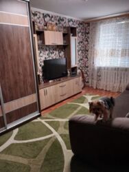 ����������� �������� � ������� ���� 3