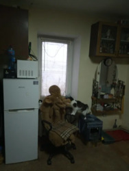 ��������� �������� ����������, �������, ��������, �������� ������ ���� 2