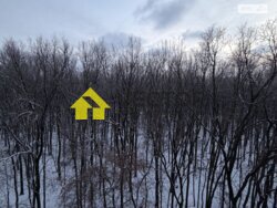 ��������� �������� ������ ������� (���������) ���., �������, ����������, ��������, ������� ���� 12