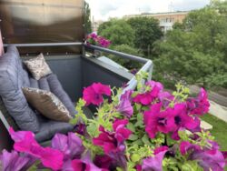 Квартира Центр 56м2, закрита територія, паркінг. фото 9 Квартира Центр 56м2, закрита територія, паркінг. фото 9