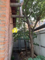 ��������� �������� �������, ����������, ������������� (���������), ����� ���� 3