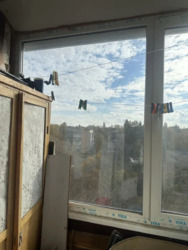   , ,  (), ,  . (ֳ) .  12