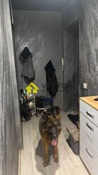 Затишна 1-кімнатна квартира на зручному 2-му поверсі | Цегляний будинок фото 8 Затишна 1-кімнатна квартира на зручному 2-му поверсі | Цегляний будинок фото 8