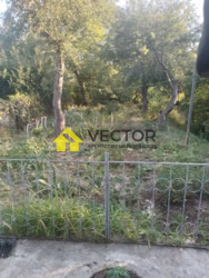 Продається квартира Полтавська, Полтава, Шевченківський (Жовтневий), Аграрна Академія, Сковороди вул. фото 10 Продається квартира Полтавська, Полтава, Шевченківський (Жовтневий), Аграрна Академія, Сковороди вул. фото 10