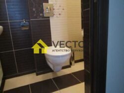 ��������� �������� ������� ������������� �����., �������, ����������, ����������, ������ ���� 21