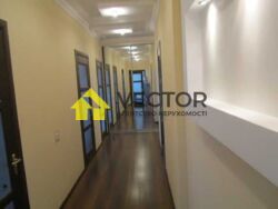 ��������� �������� ������� ������������� �����., �������, ����������, ����������, ������ ���� 19