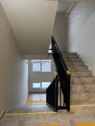 ��������� 1� �� � �� OXFORD �����, ������, �³���������! ���� 21