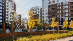 Продаж світлої 1-кімнатної квартири у ЖК Синергія Сіті, єОселя, єВідновлення! фото 1 Продаж світлої 1-кімнатної квартири у ЖК Синергія Сіті, єОселя, єВідновлення! фото 1