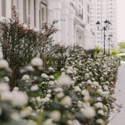 ��������� 2� �������� � �� ���� �����, ���. ˳������, ������! ���� 20