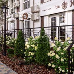 1� �������� � �� ���� �����! ���� 11