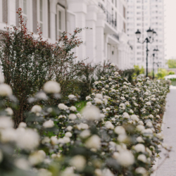 Продається простора 1-к квартира, ЖК Нова Англія! фото 3 Продається простора 1-к квартира, ЖК Нова Англія! фото 3