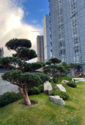 ��������� �������� ���. ��.�����������, 1, ���, �����������, �. ������� ���� 3