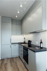 ��������� �������� ���. ��.�����������, 1�, ���, �����������, �. ������� ���� 1