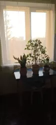 ��������� �������� �����-���������, �����-���������� ���� 10