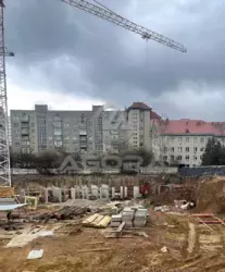 ����������� �������� �� ����������� ����䳿 � ����� ���� 8