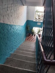 ��������� �������� ���, ������������� ���� 3