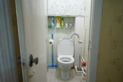 ��������� �������� ���, ���������� ���� 13