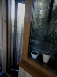 ��������� �������� ���, ������������� ���� 5