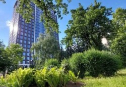 ��������� �������� ���, ������������� ���� 5