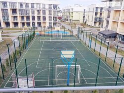 ��������� �������� ���, ����������� ���� 6